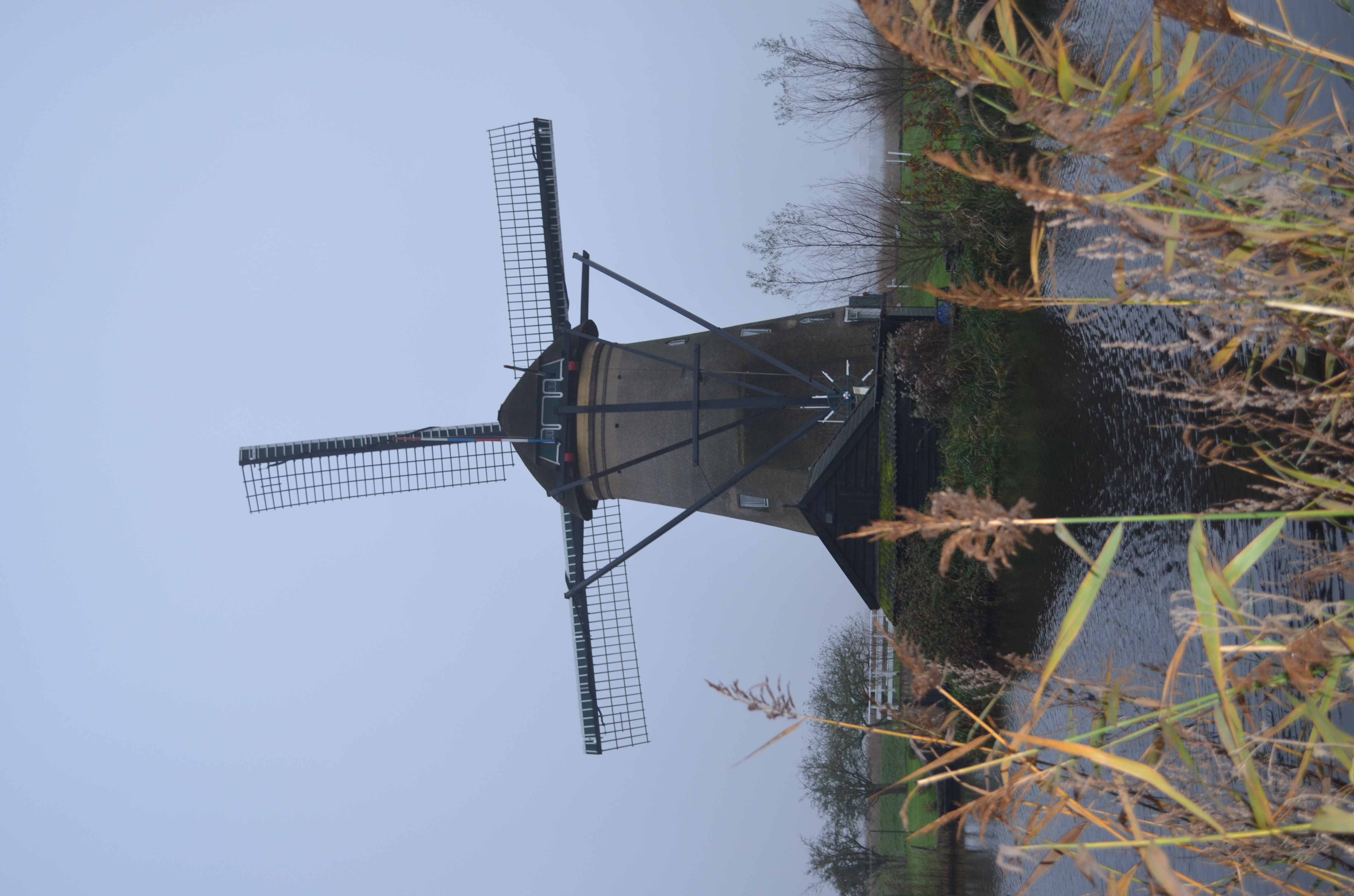 ./2017/19 - Viking Lif/12 - Kinderdijk, The Netherlands/DSC_0344.JPG